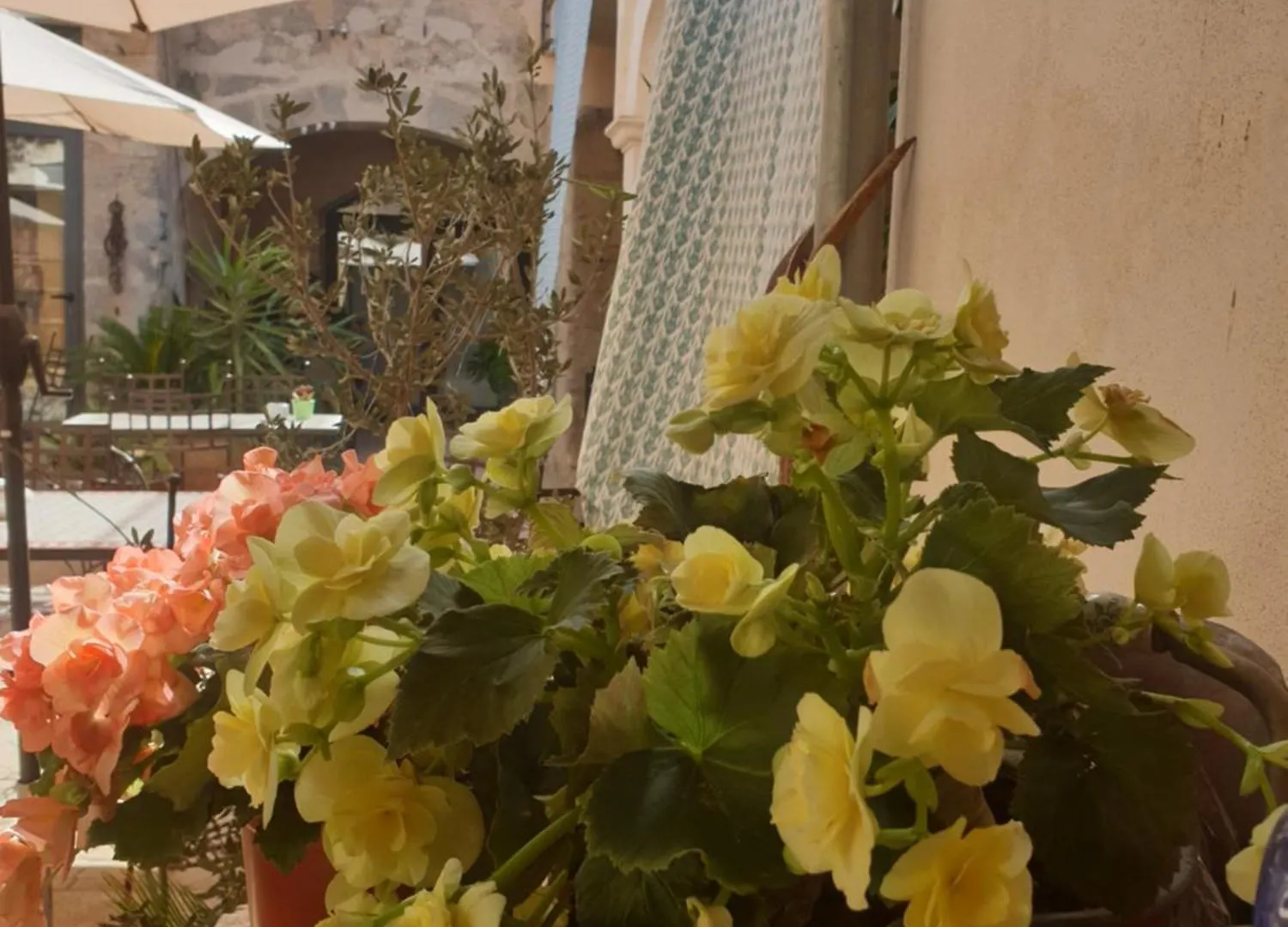 Hotel Segles - Turismo De Interior Campos  Campos (Mallorca)
