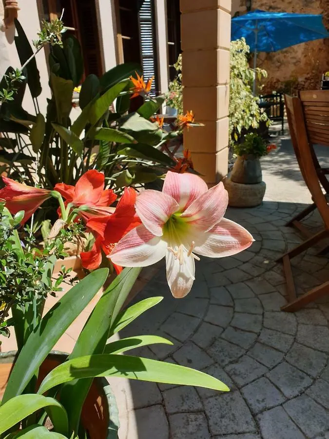 Hotel Segles - Turismo De Interior Campos   Campos (Mallorca)
